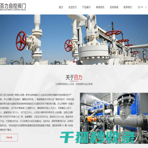 浙江百力自控阀门有限公司