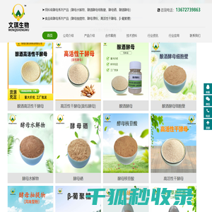 酿酒酵母