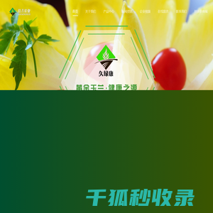 芽球玉兰