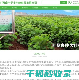 广西南宁天龙生物科技有限公司,专注：桑种,桑苗,桑饲料,蛋白桑,桑果汁,桑果酒